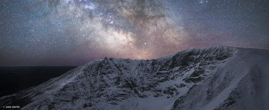 Jamie Walter Gallerie