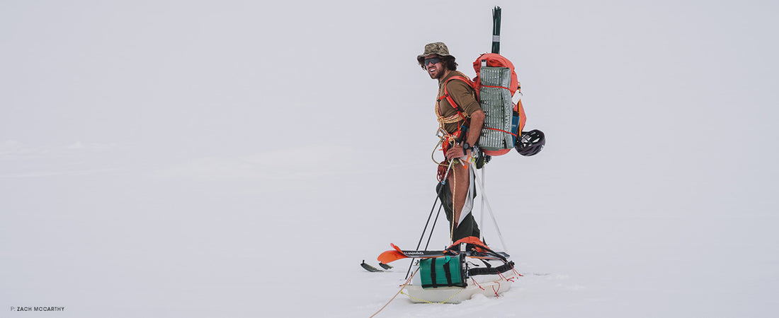 Jack staying cool in Denali National Park. Photo: Zach McCarthy
