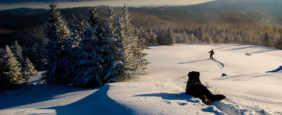 Useless and Essential