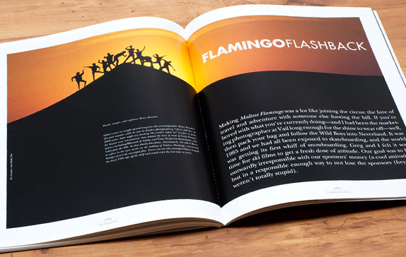 Flamingo Flashback