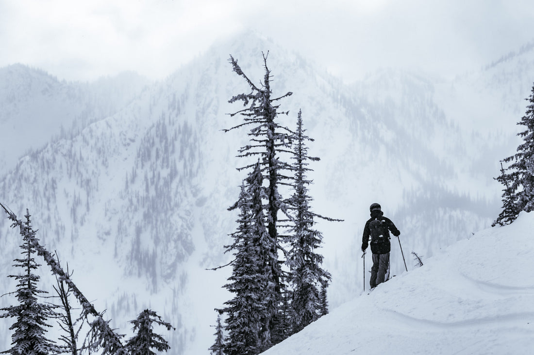 It’s Called Shredding