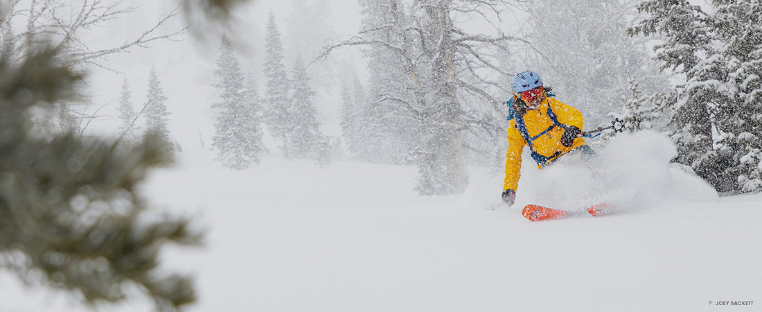 VANESSA CHAVARRIAGA POSADA