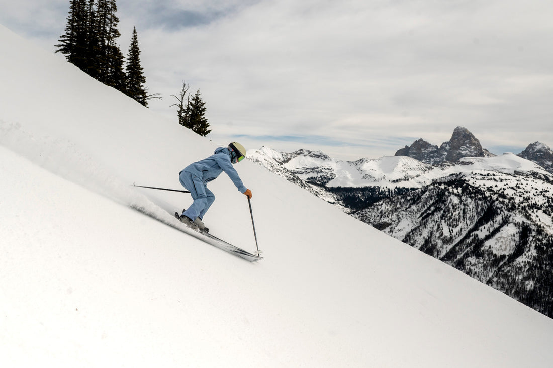 Bomber Pro-Terrain Crystal Titanium Skis