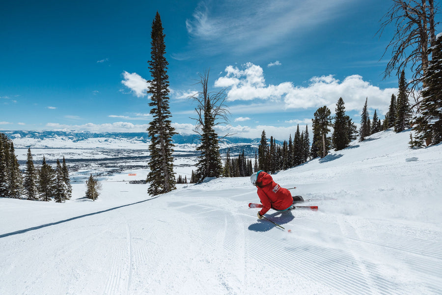 Ann Schorling’s Great Detour