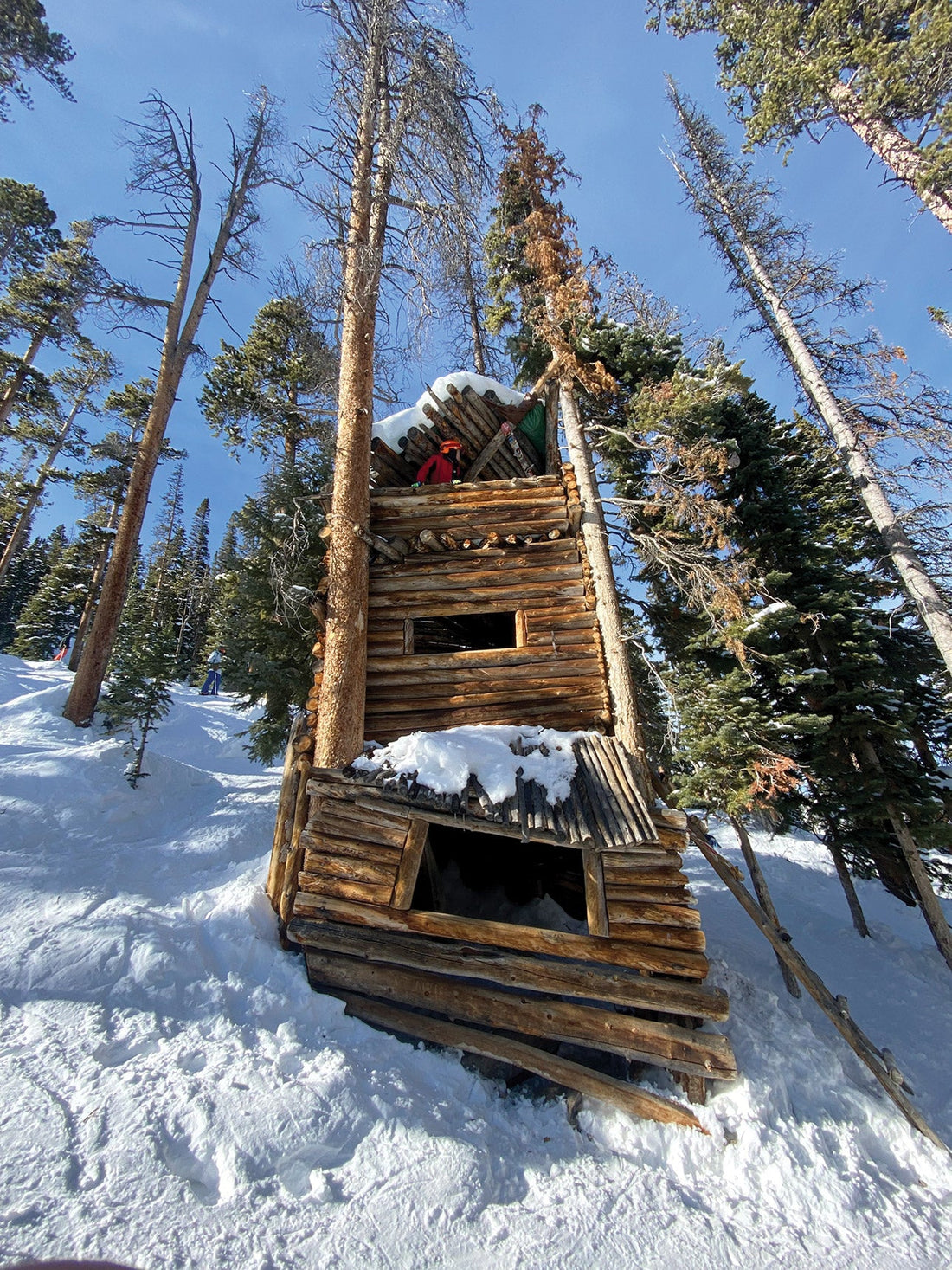 Mary Jane’s Intimate Secrets