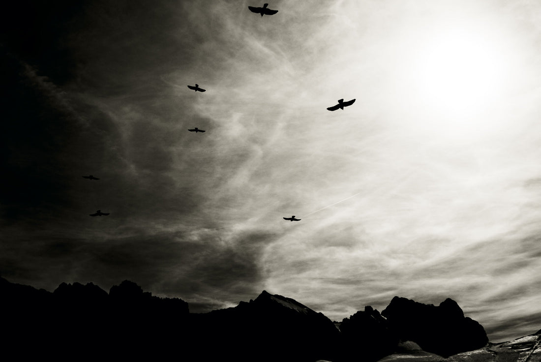 Everywhere you go in La Grave, theLa Grave, France. According to local legend, blackbirds are inhabited by the spirits of fallen mountaineers. Photo: Jordan Manley