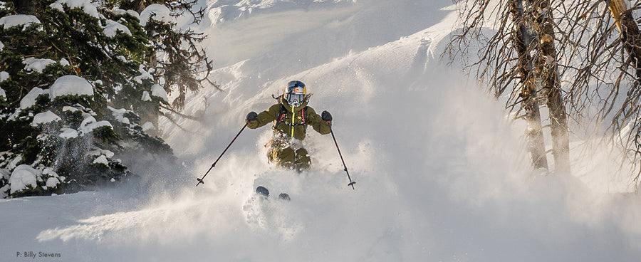 Tatum Monod Drops In