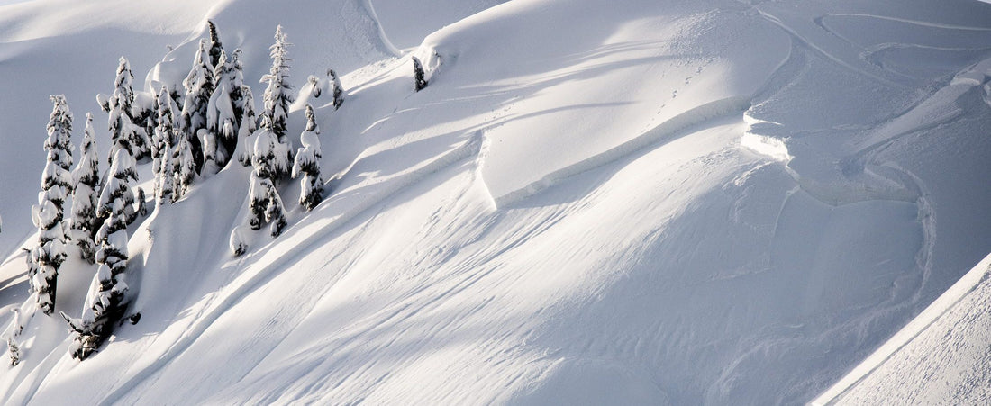 Out the Gate: Avalanche Safety in the Age of COVID