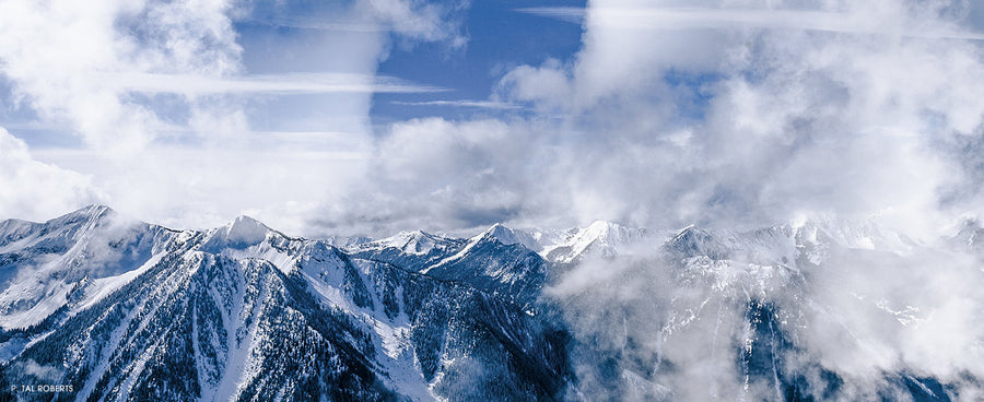 Tal Roberts Gallerie