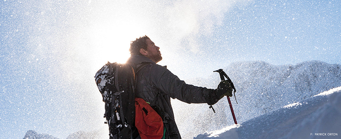 Elliott Bernhagen Gallerie