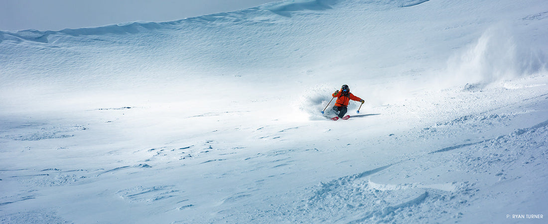 The Mystery of Gomez