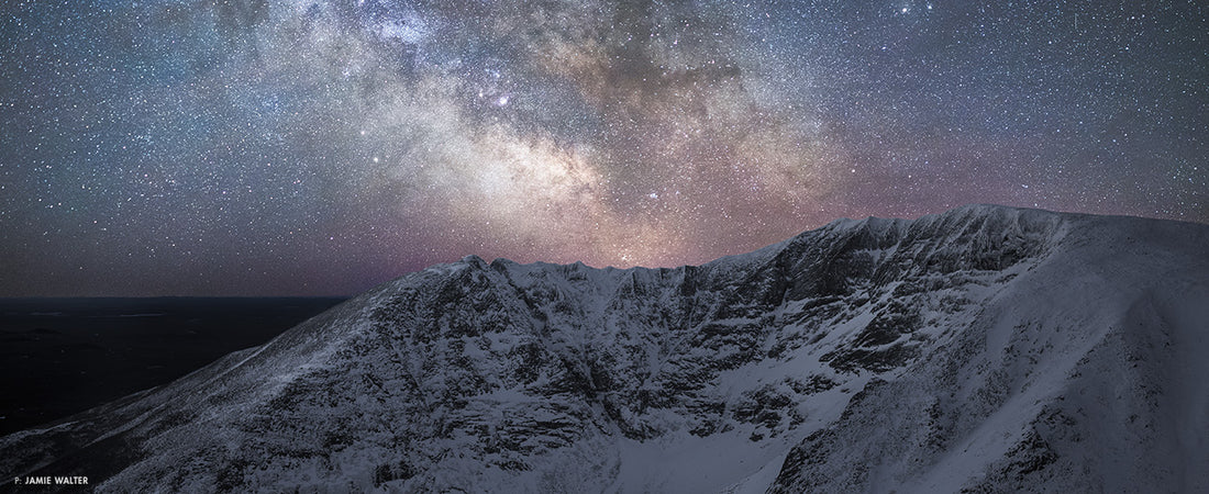 Jamie Walter Gallerie